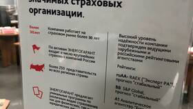 Бережное КАСКО Энергогарант: что это такое в Зарина