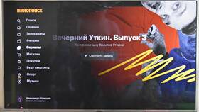 Что посмотреть на Кинопоиске без подписки в Зарина