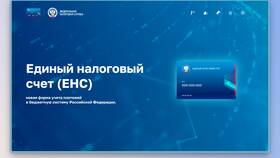 Что такое единый налоговый счет в Зарина