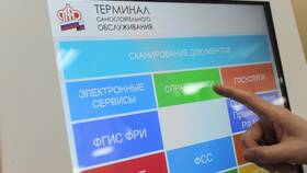 Что важнее: ИНН или СНИЛС в Зарина