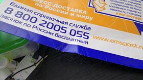 Доставка почтой EMS что это в Зарина