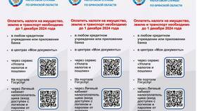 Факторы, влияющие на размер налоговых платежей в Зарина