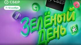 Как копятся СберСпасибо от Сбербанка в Зарина