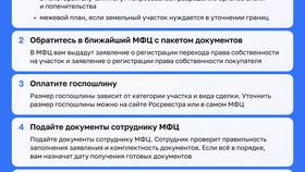 Как оформить земельный участок через МФЦ в Зарина