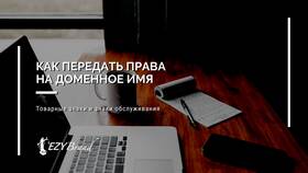 Как передать домен юридическому лицу в Зарина