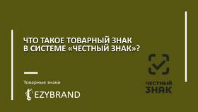 Как подключить систему 