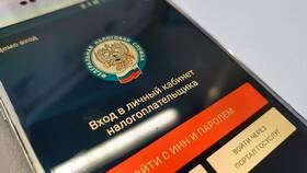 Как узнать задолженность по ИНН для ИП в Зарина
