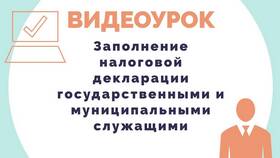 Как заполнять декларацию для госслужащих в Зарина