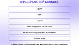 На что идут налоги в государстве в Зарина