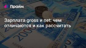 Net зарплата: что это в Зарина