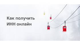 Пошаговая инструкция как получить ИНН в Зарина