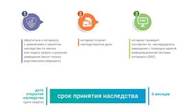 Зачем нотариусу СНИЛС при оформлении наследства в Зарина