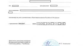 Зачем нужен СНИЛС при получении документов в Зарина