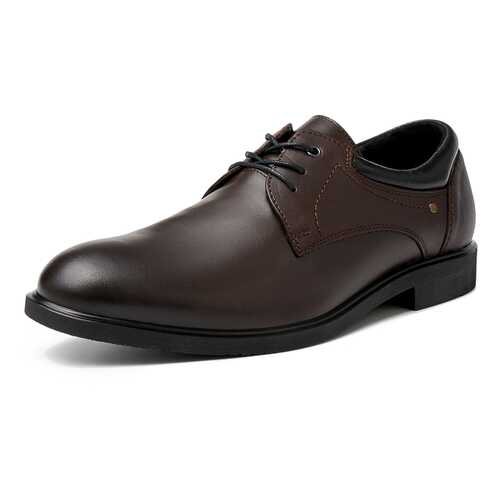 Туфли мужские Alessio Nesca M6208025 коричневые 44 RU в Зарина