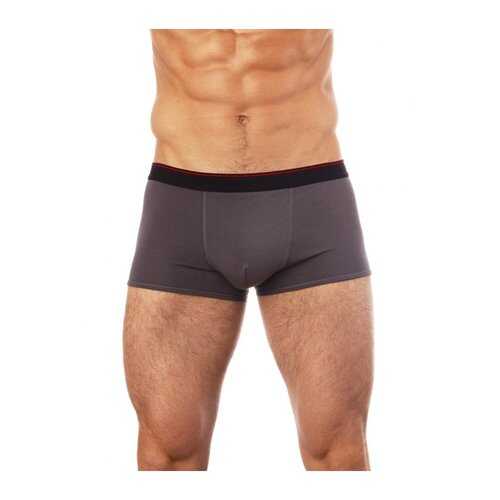 Трусы мужские UOMO FIERO 031FX серые L в Зарина